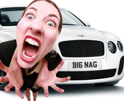 DVLA Auction November 2013